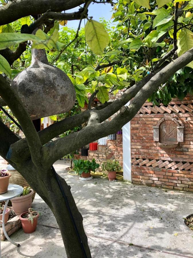 Villa Muzhaqi Nivice エクステリア 写真
