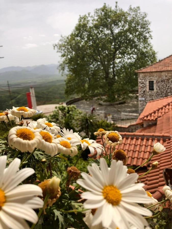 Villa Muzhaqi Nivice エクステリア 写真