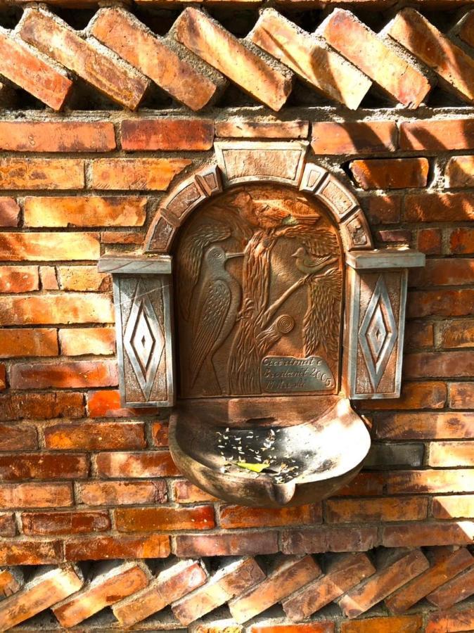 Villa Muzhaqi Nivice エクステリア 写真