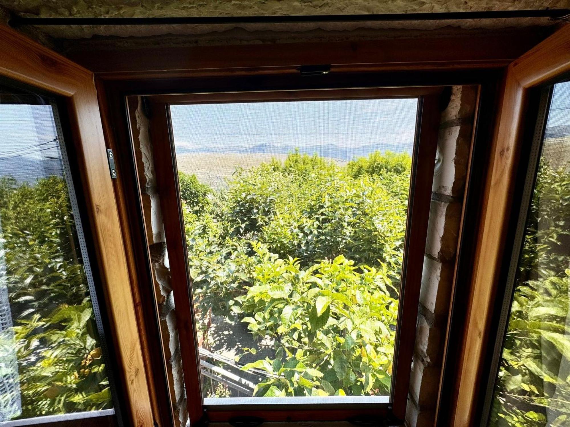 Villa Muzhaqi Nivice エクステリア 写真